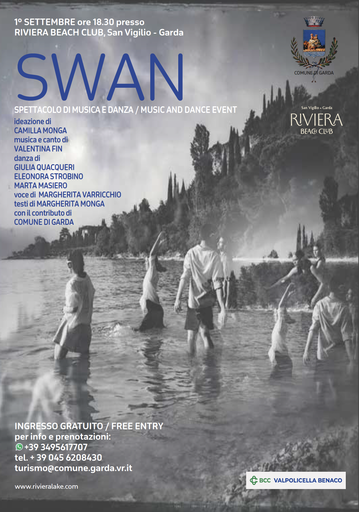 Swan 